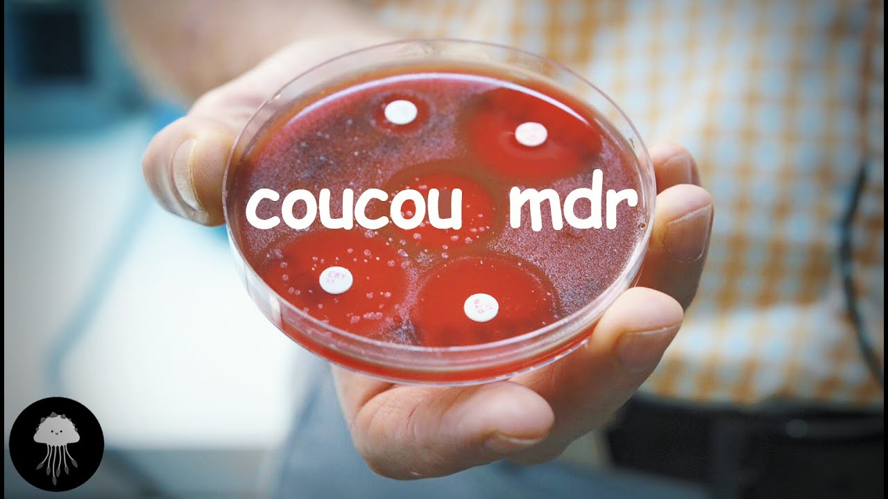 Cette lutte microbiologique que nous perdons - DBY #56