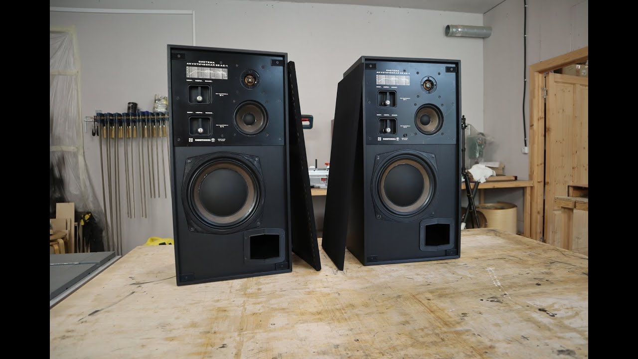 RADIOTEHNIKA 35АС-1 ЧЕРНАЯ ВЕРСИЯ. RADIOTEHNIKA 35AS-1 Black Edition.