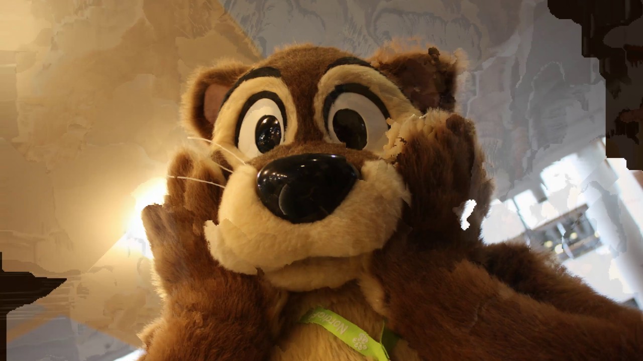 NFC 2017 - FlackoWeasel Foto Timelapse