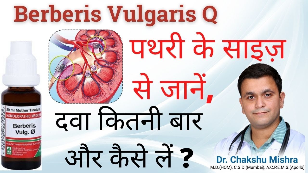 Berberis Vulgaris Q. Berberis Vulgaris Homeopathic Medicine. Benefits of Berberis Vulgaris #RxHpathy