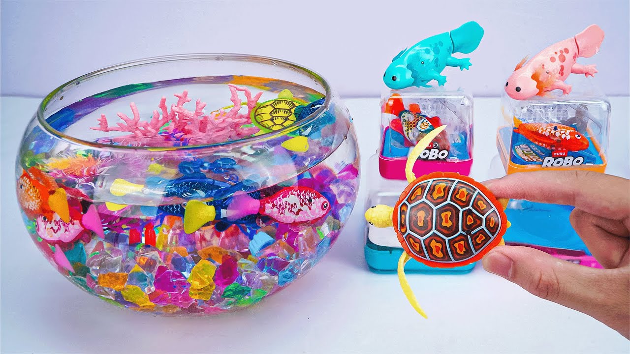 [Toy asmr] Baby Shark & Zuru Robo Fish & Harp's Aquarium & RC Shark ASMR Satisfying with Unboxing