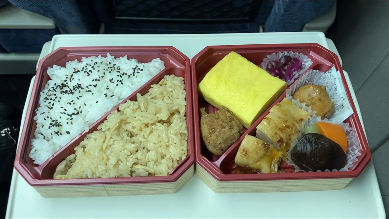 Shinkansen Ekiben Bento at Shin Osaka Station