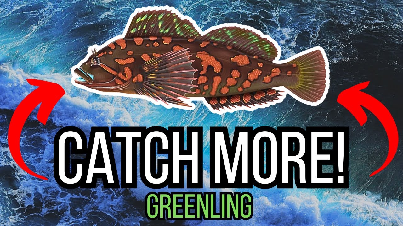 Level Up Your Fishing Skills: Mastering Greenling Fishing in California