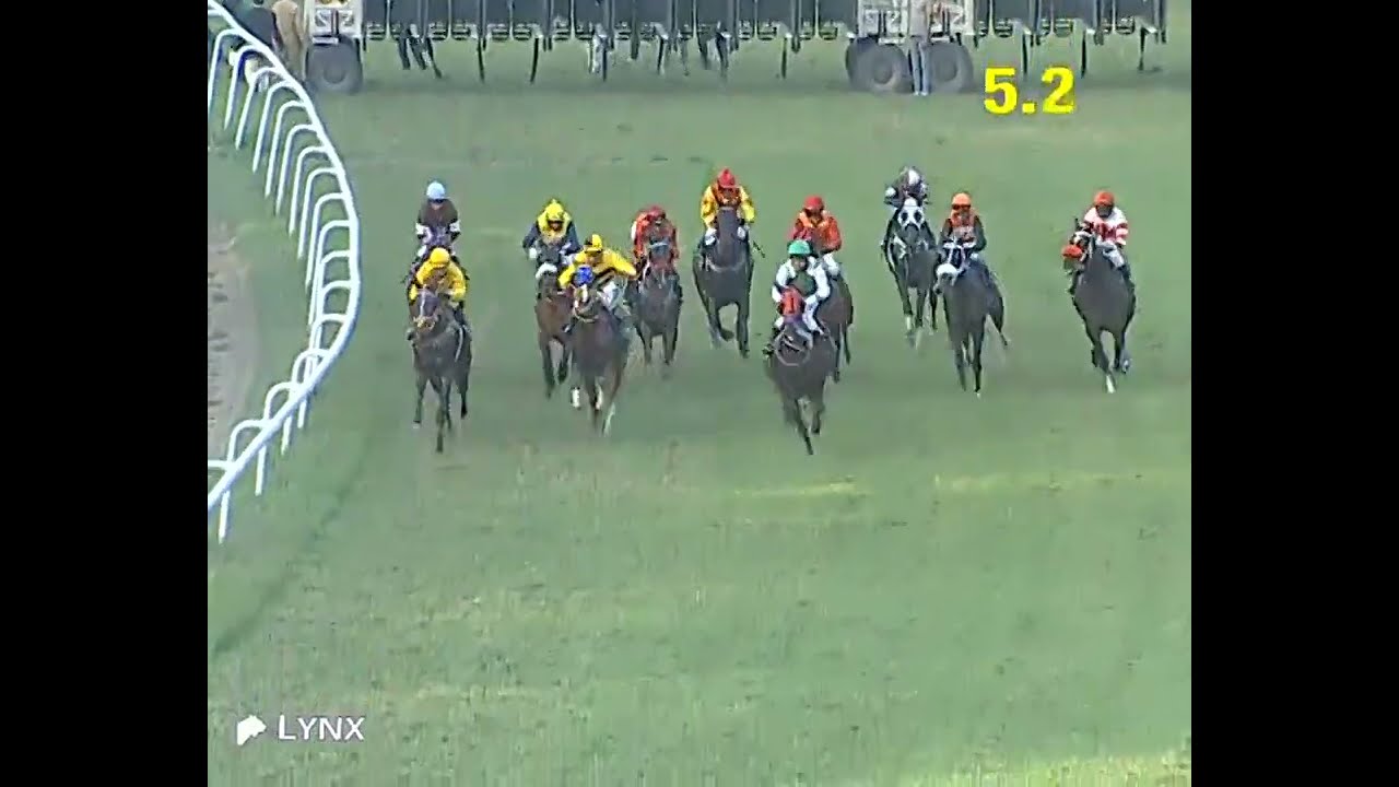 Delhi Race No 8 The Good Decision Plate/ win - BANKSY/ Jockey - D S Deora / #video 2026