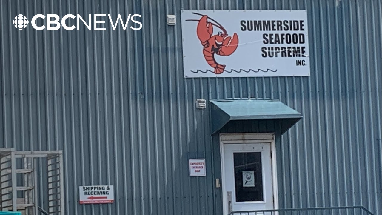 Denied temporary foreign workers, this P.E.I. fish plant is seeking court review
