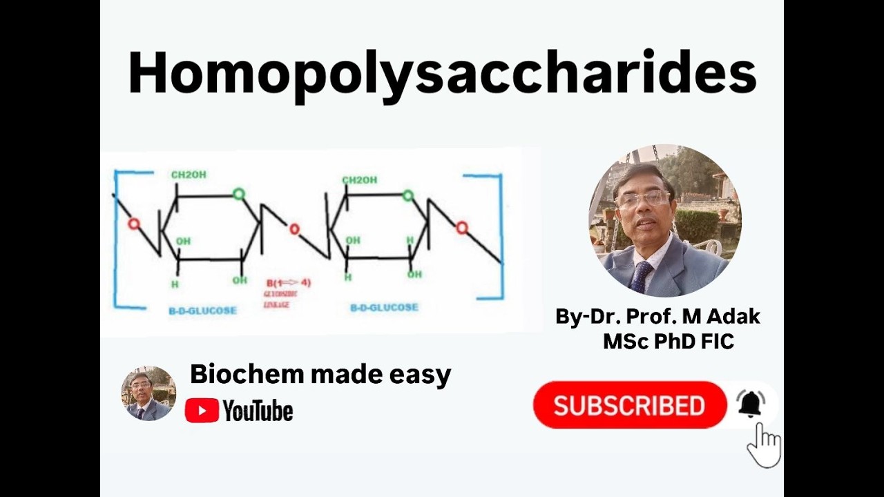 Homopolysaccrides 