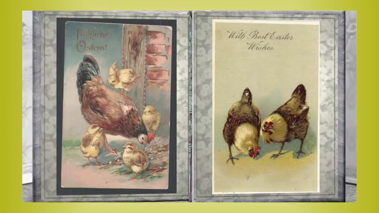 Vintage Easter Chicken Postcards. Old Fashion Easter.