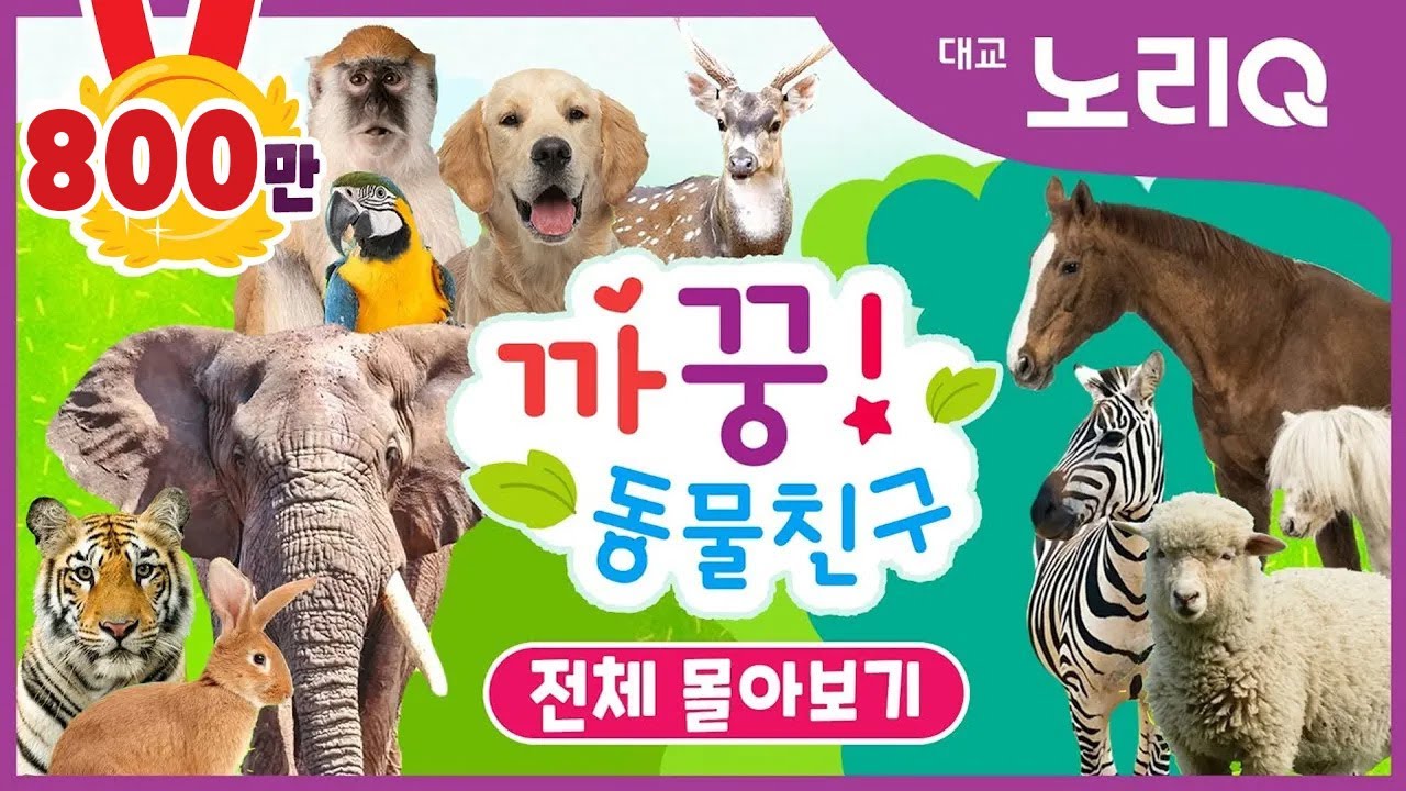 까꿍! 동물친구ㅣ자연관찰ㅣ전편 몰아보기 (1~26화)ㅣBabies&KidsㅣPikaboo! Animal friendsㅣDaekyo noriQ l 대교 노리Q