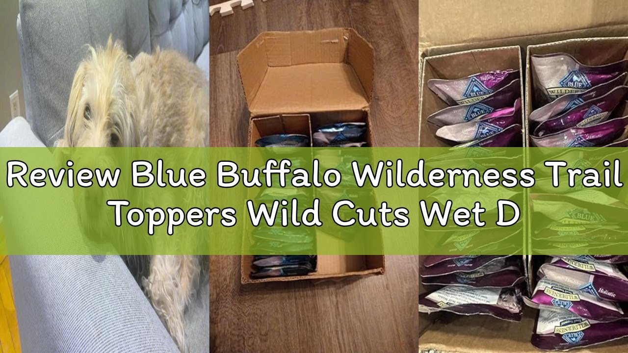 Review Blue Buffalo Wilderness Trail Toppers Wild Cuts Wet Dog Food Variety Pack, High-Protein & Gra