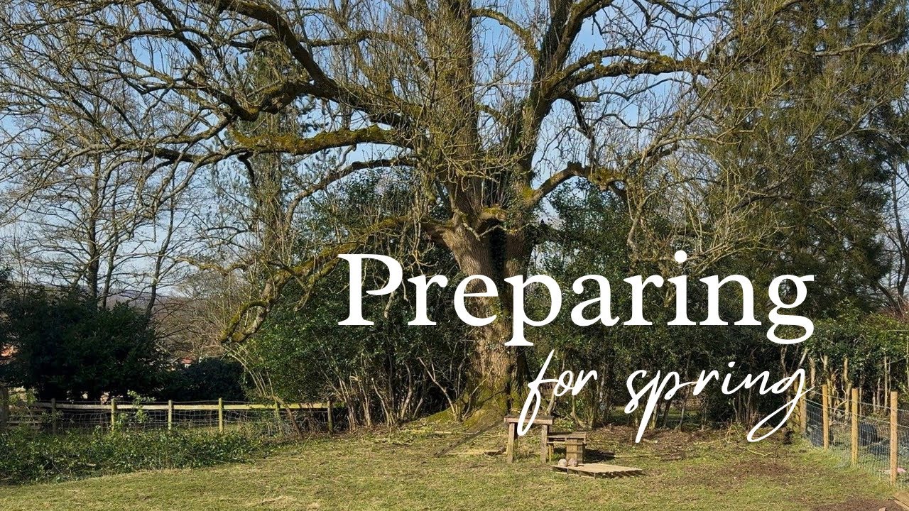#3 Peaceful countryside vlog | Brunch and sourdough | Clearing the overgrown holly