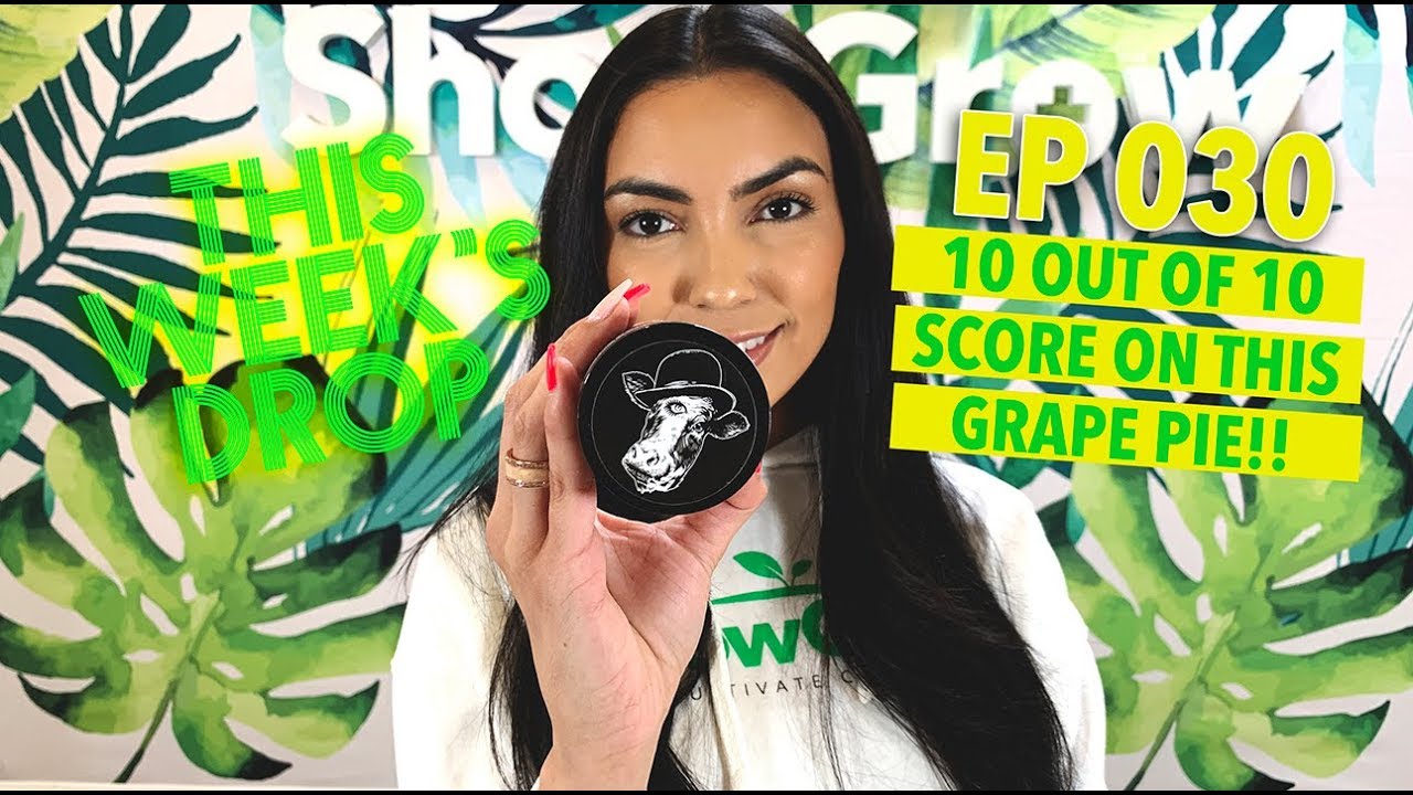 This Week's Drop - 030 - Grape Pie by Korova, the BEST Dessert in the WORLD is a cannabis strain!