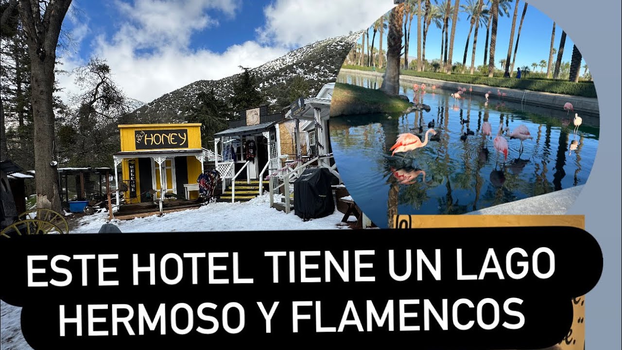 Nieve ,luego fuimos a un hotel con FLAMENCOS 🦩 