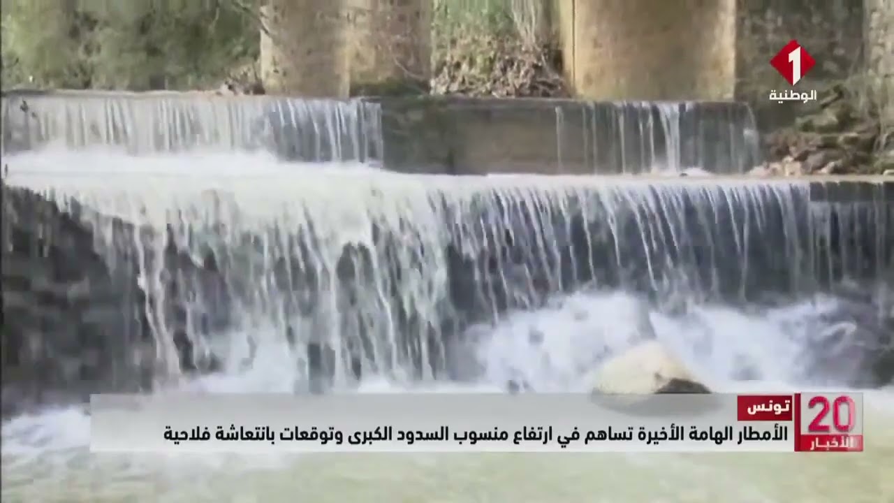 تونس || الأمطار الهامة الأخيرة تساهم في ارتفاع منسوب السدود الكبرى وتوقعات بانتعاشة فلاحية