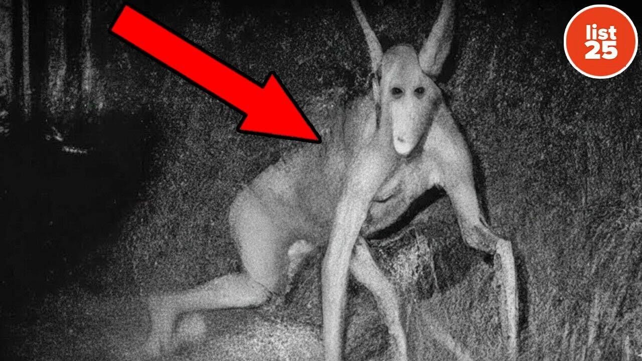 Creepy Facts That Will Make Your Skin Crawl