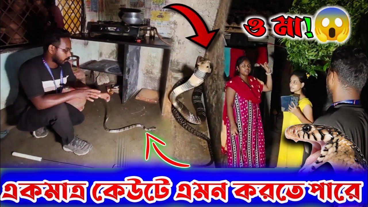 কেউটে ছাড়া অন্য কোনো সাপ এটা পারবে না 😦 |  Samiran Barik Rescuer  |
