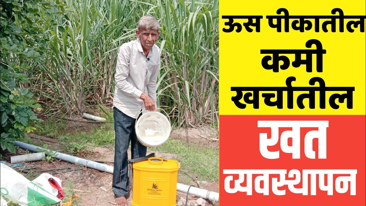 पंपाच्या सहाय्याने ठिबकमधून कोणते खत कसे सोडावे सविस्तर माहिती | ऊसातील खत व्यवस्थापन