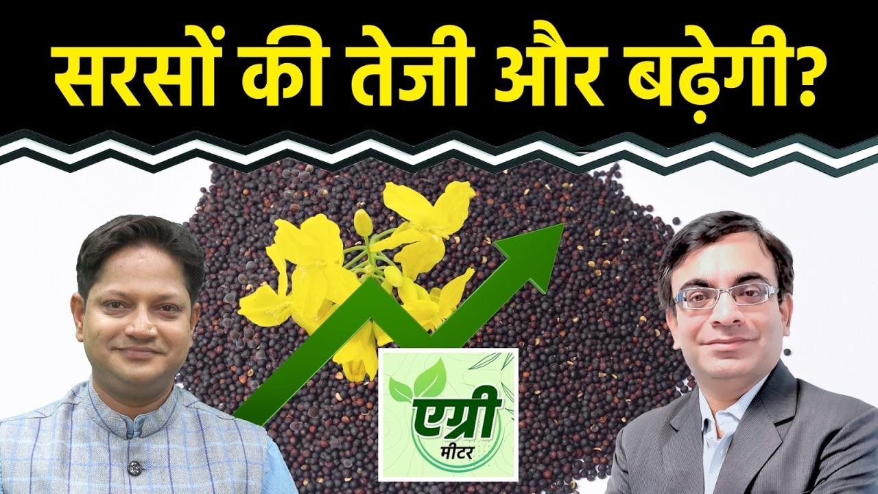 Agri Commodity : भारत से चीन क्यों बढ़ा रहा सरसों मील का एक्सपोर्ट? Commodity Market | NCDEX