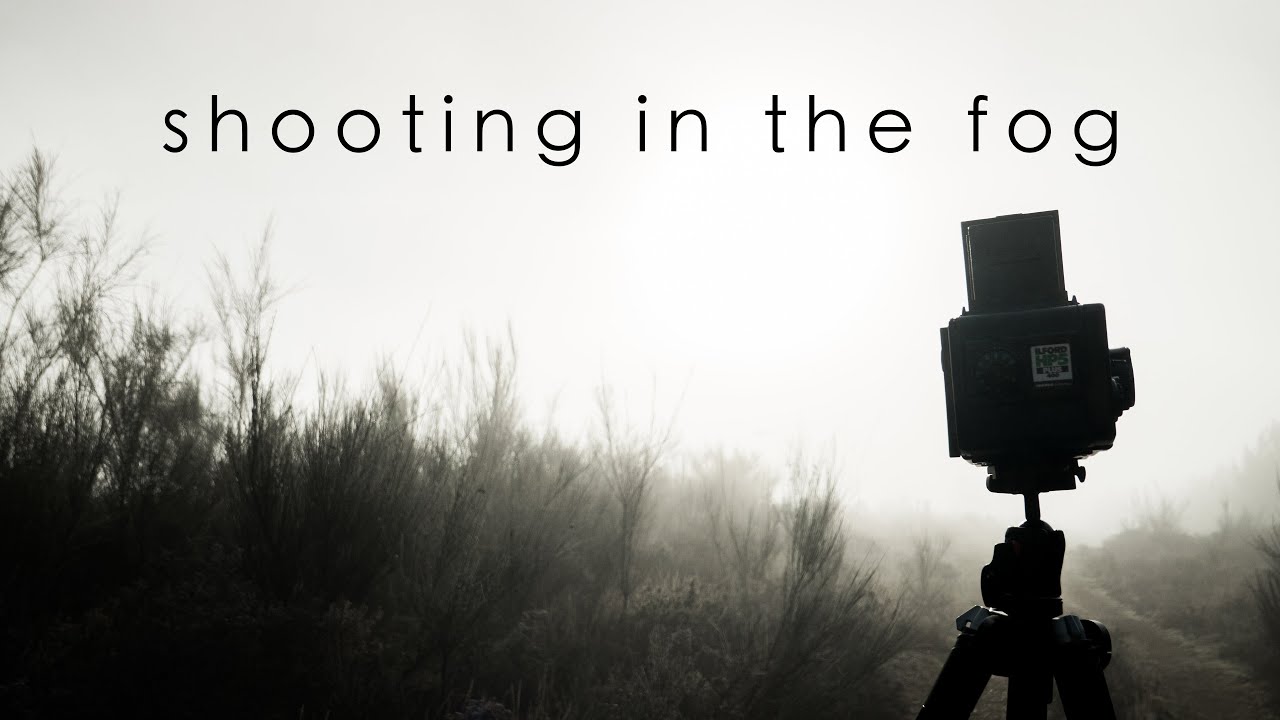 5 ideas to make images in the fog (feat. Bronica)