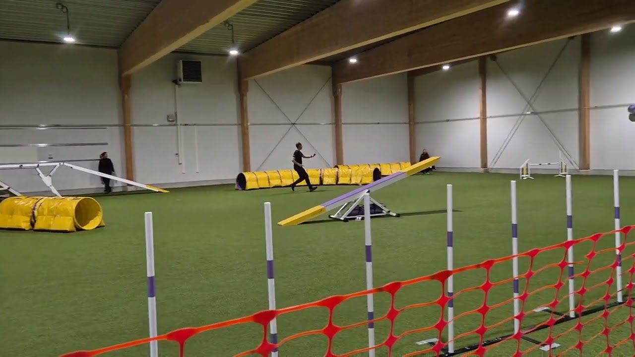 Can´t help myself I´m FALLing - Agility 2B - Daniel och Vilgot