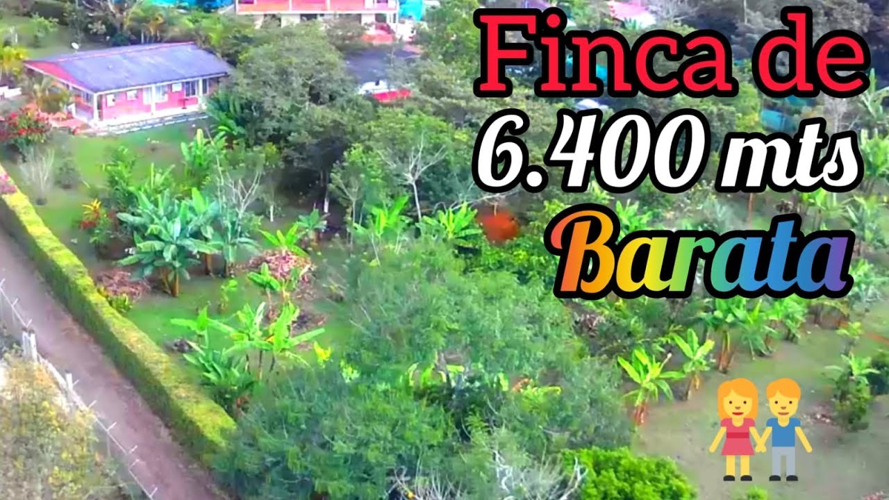 #PEDROPARRA finca campestre de 🏝6.400🏝 mts #CERCA a cali 🏃🏃