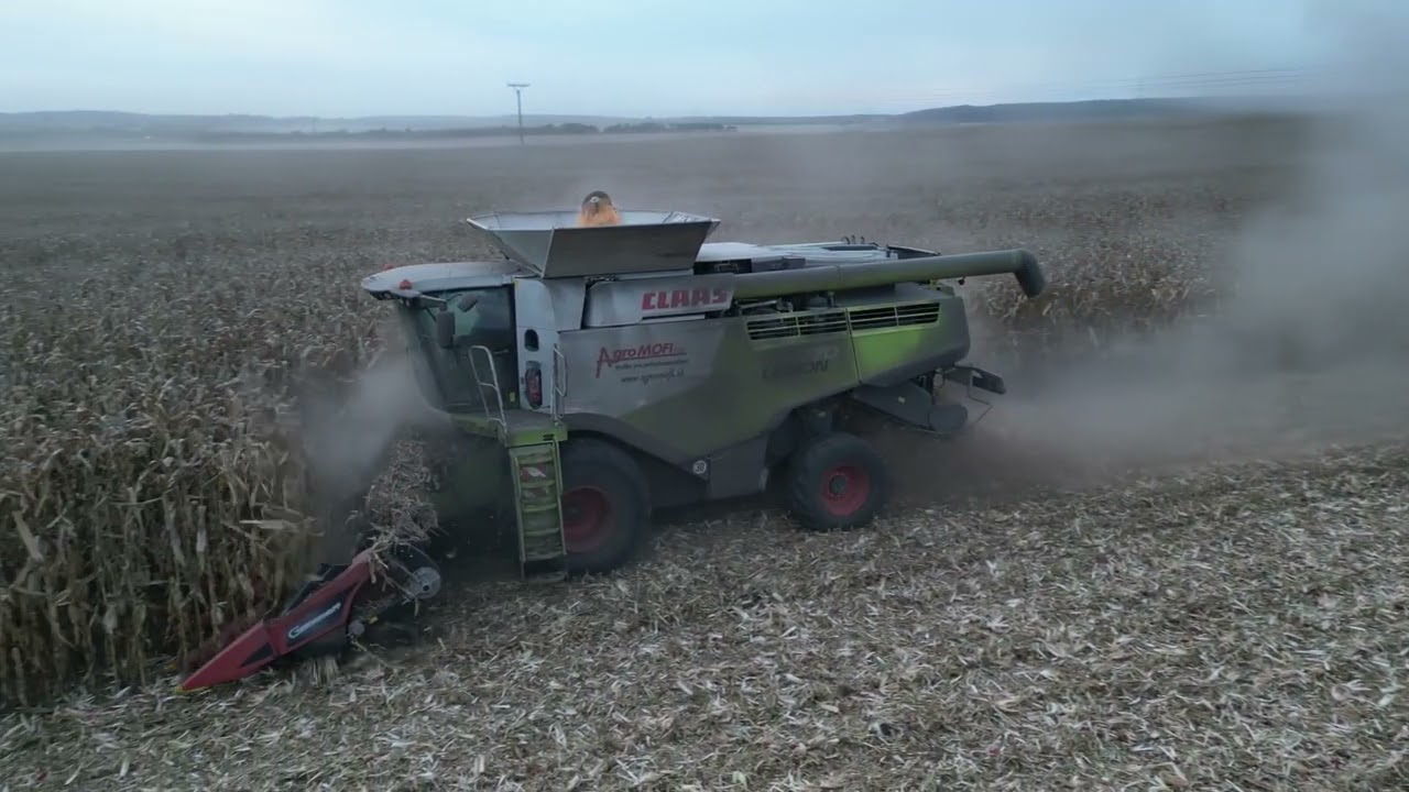 CLAAS LEXION 770 corn harvest