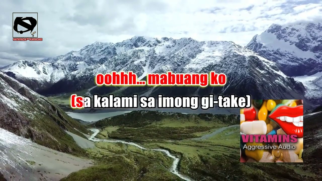 AggressiveAudio - Vitamins (Kalami Sa Imong Gi-take) (Lyrics)