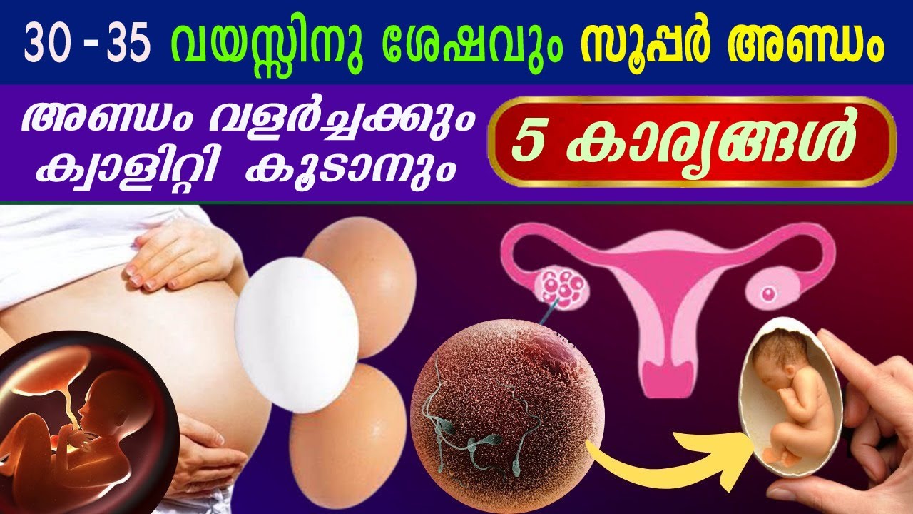 30 - 35 വയസ്സിനു ശേഷം അണ്ഡം വളര്‍ച്ചക്കും ക്വാളിറ്റി  കൂടാനും | Improve Egg Quality and LOW AMH