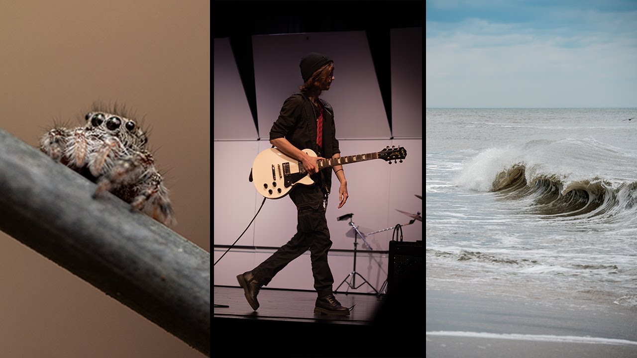 My Spring 2025 Photographs Reviewed