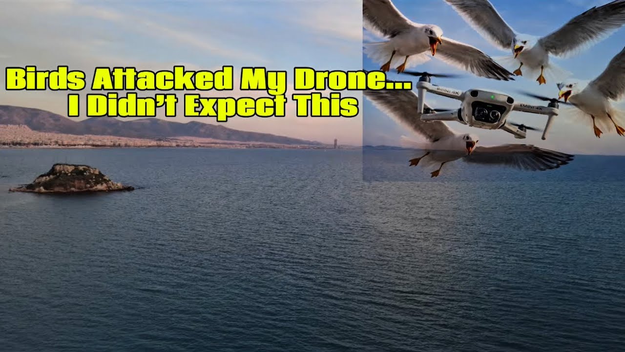 DRONE UNDER ATTACK