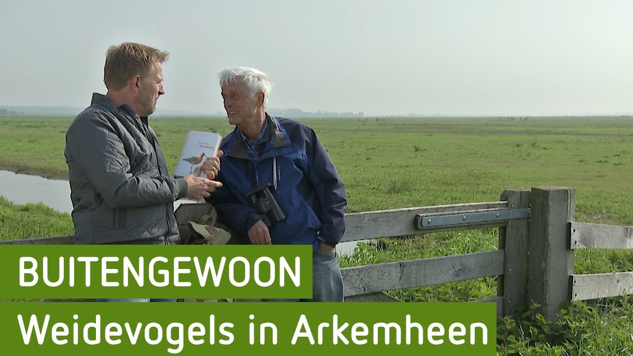 Weidevogels in Arkemheen | BuitenGewoon 8 juni 2019