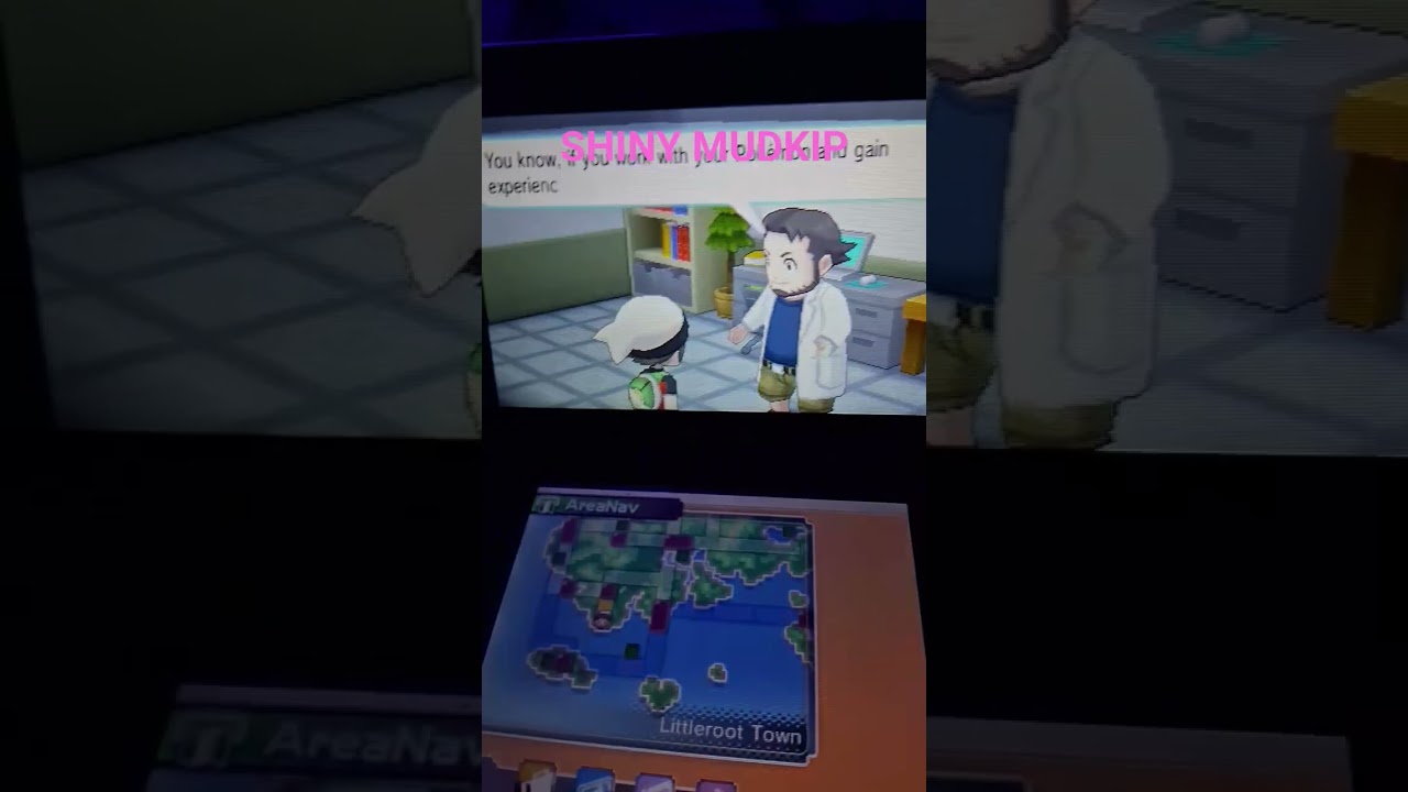 SUBSCRIBE FOR SHINY DREAM PLAYTHROUGH 