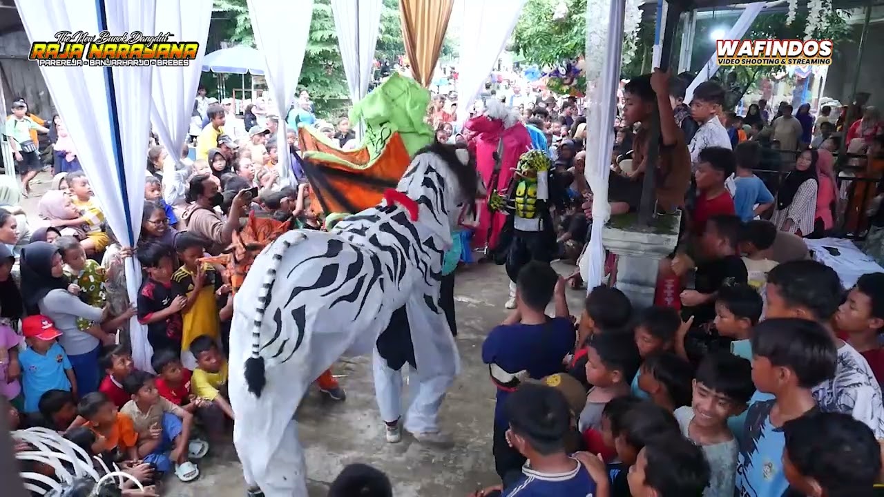 AKSI MACAN PUTIH VS PREDATOR SERU !!!!! BUROK  