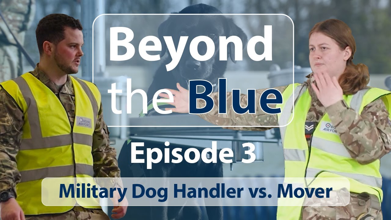RAF Military Working Dog Handler & RAF Logistics Mover Swap Roles: Beyond the Blue Ep 3