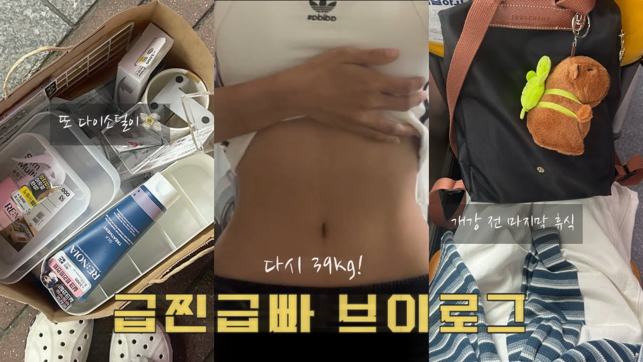35kg 개말라 도전기4ო͈̫ 스트레스의 중요성… +5kg하고 먼 길 돌아가기 • 또 집 구조 바꾸기