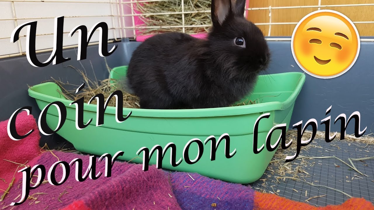 Comment j'ai installé mes lapins : coin litière et foin