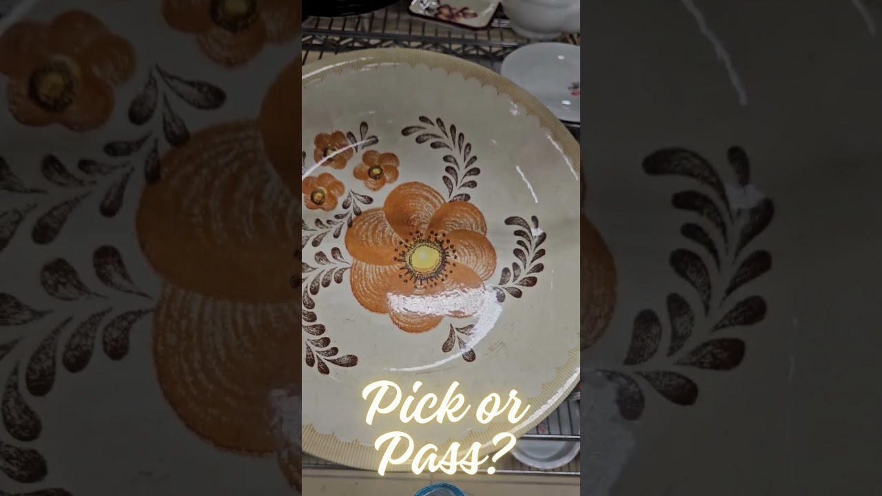 Pick or Pass??   #vintage #reselling #homedecor  #thrifting #thriftstorefinds  #thriftshopping