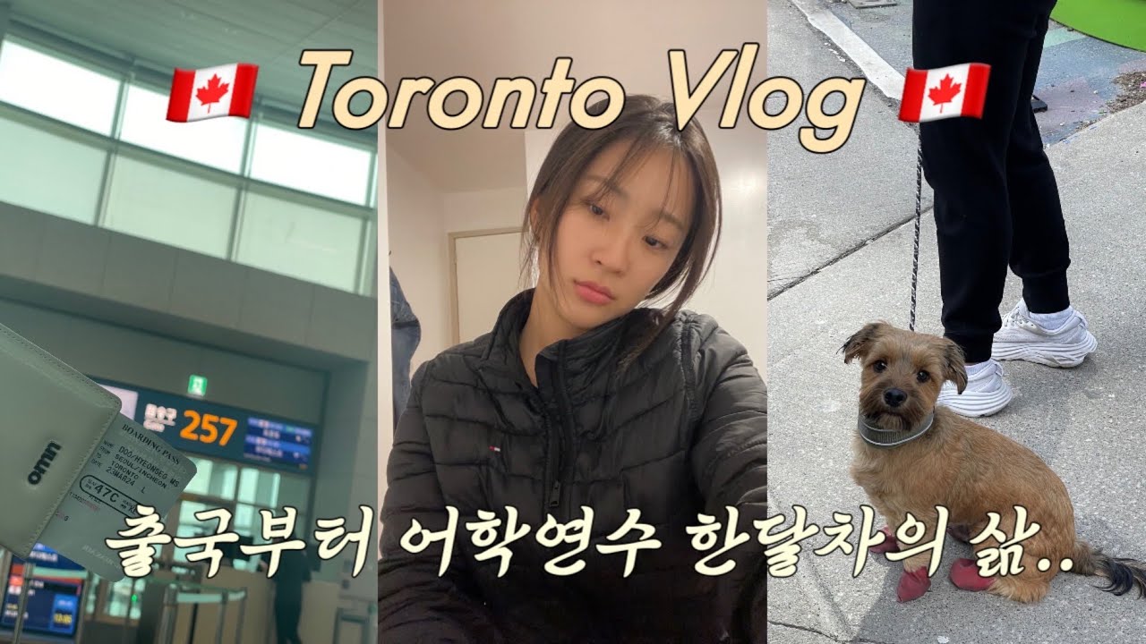 🇨🇦 ep.1 별 것도 없는 토론토 어학연수 출국부터 일상모음zip.. /토론토 어학연수/토론토 대한항공/어학연수 브이로그/토론토 여행