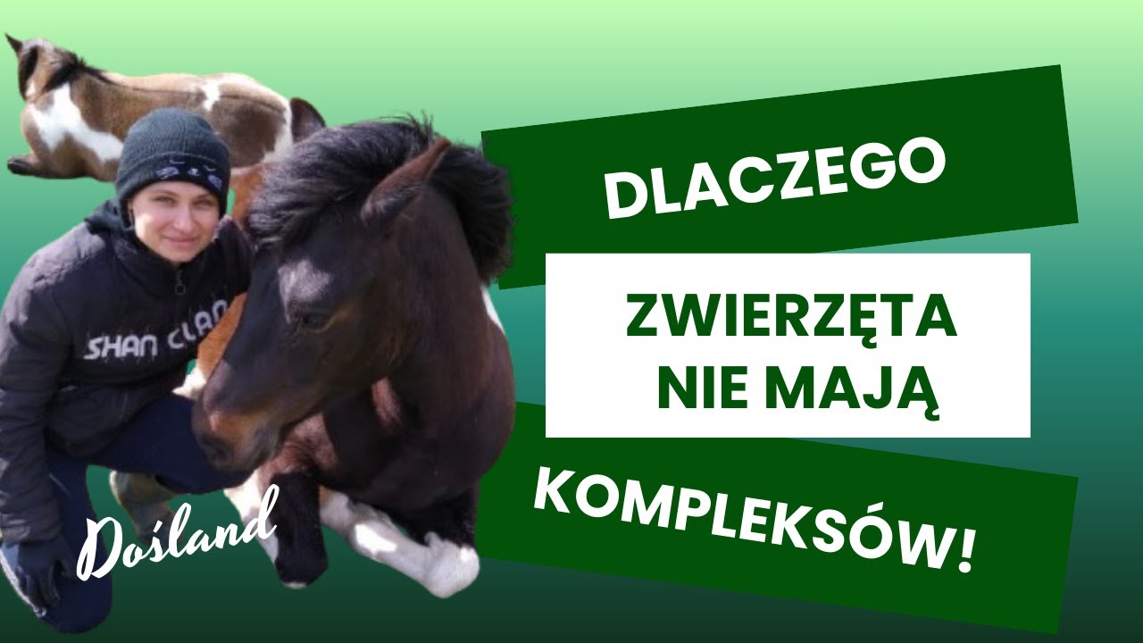 Dlaczego zwierzęta nie mają kompleksów?