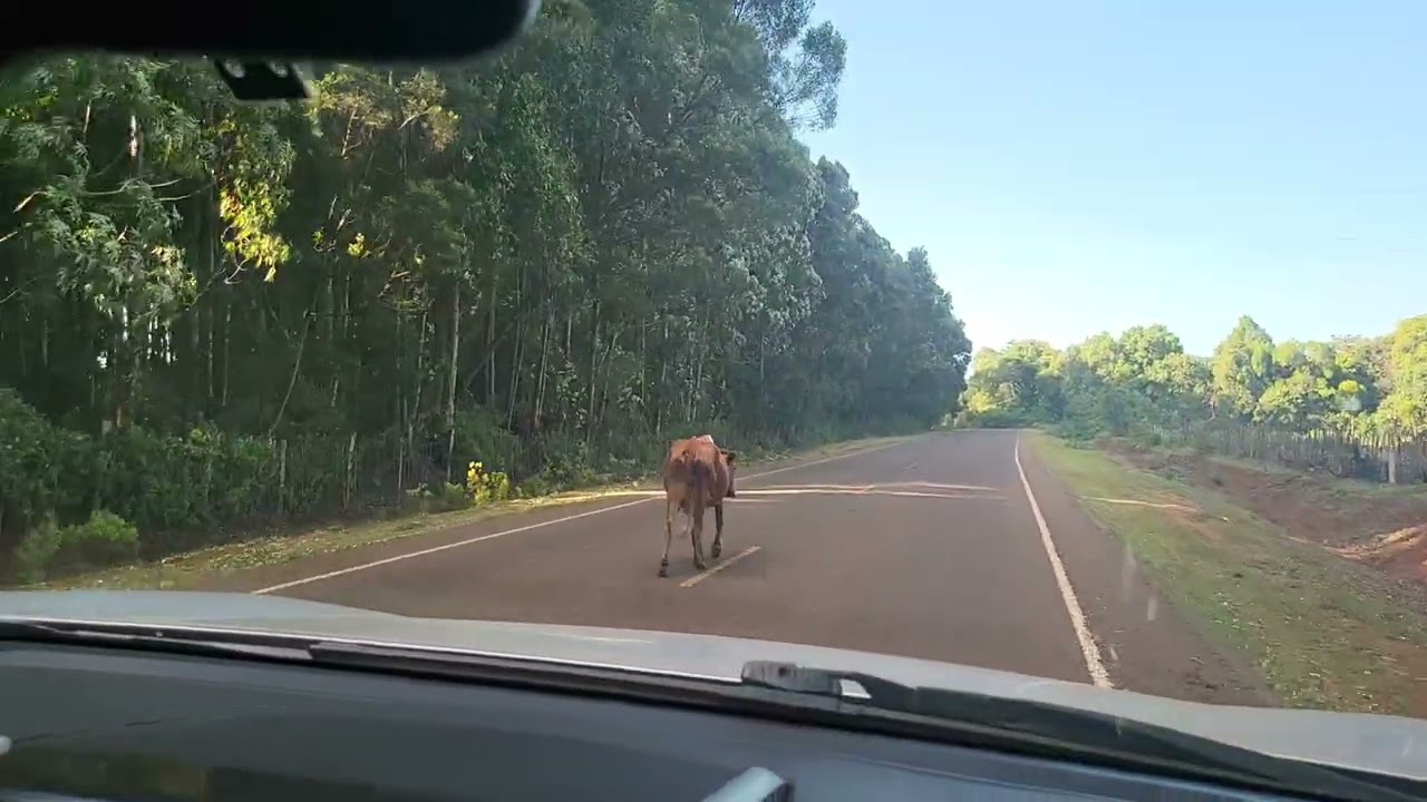 Kaptagat road 