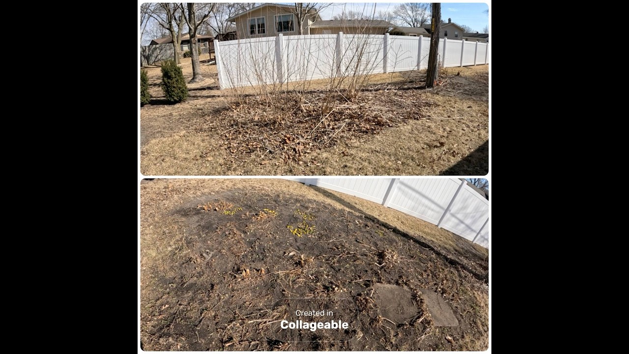 This Overgrown Brush Didn’t Stand a Chance 😮‍🔥