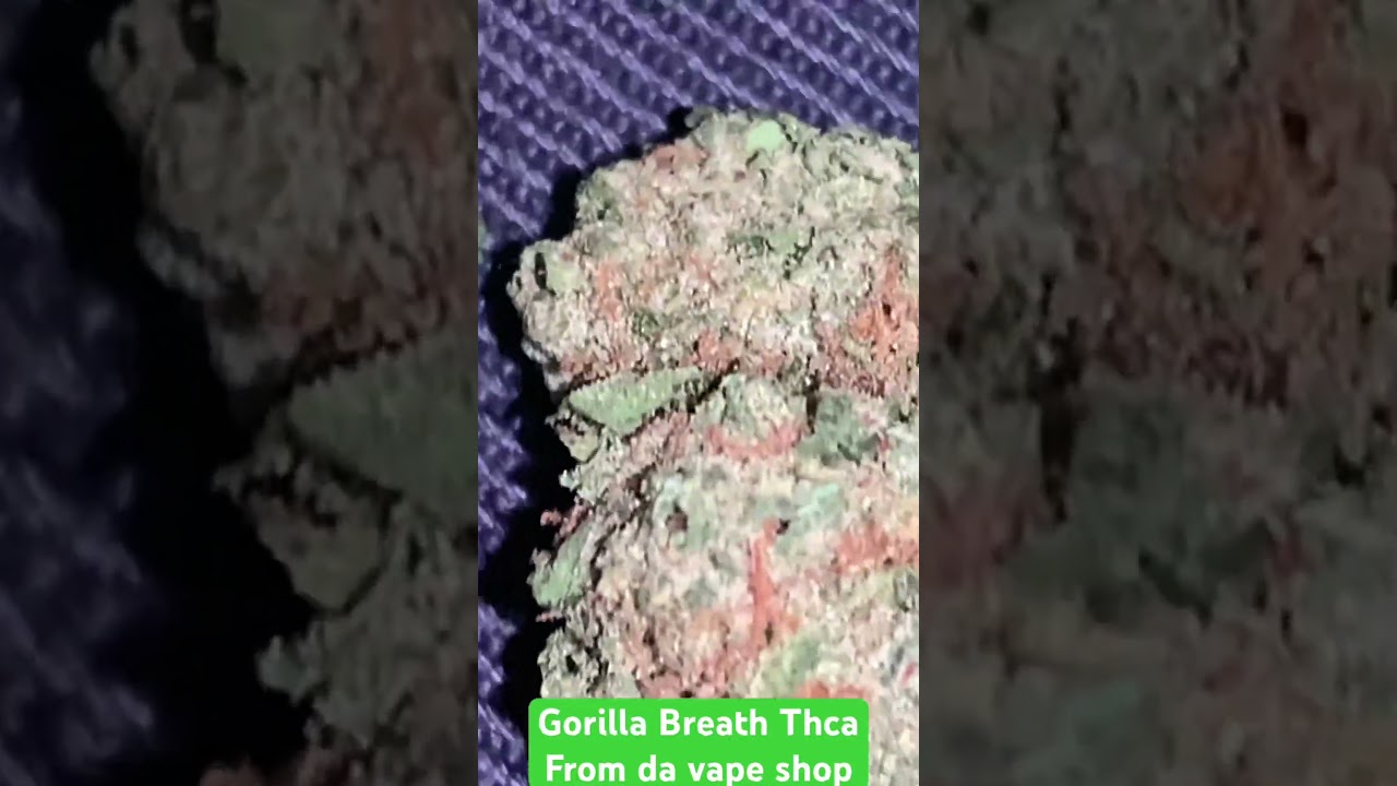 Gorilla Breath Thca flower #tomcur33