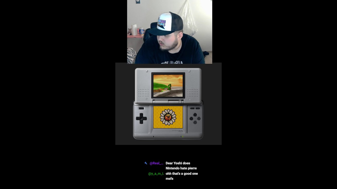 Super Mario 64 DS Full Playthrough