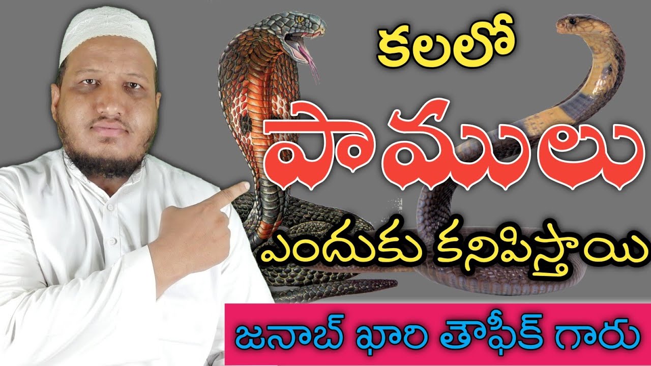 కలలో పాములు ఎందుకు కనిపిస్తాయి | kalalo pamu kanipisthe | Qari Taufique Sahab | Telugu Bayan