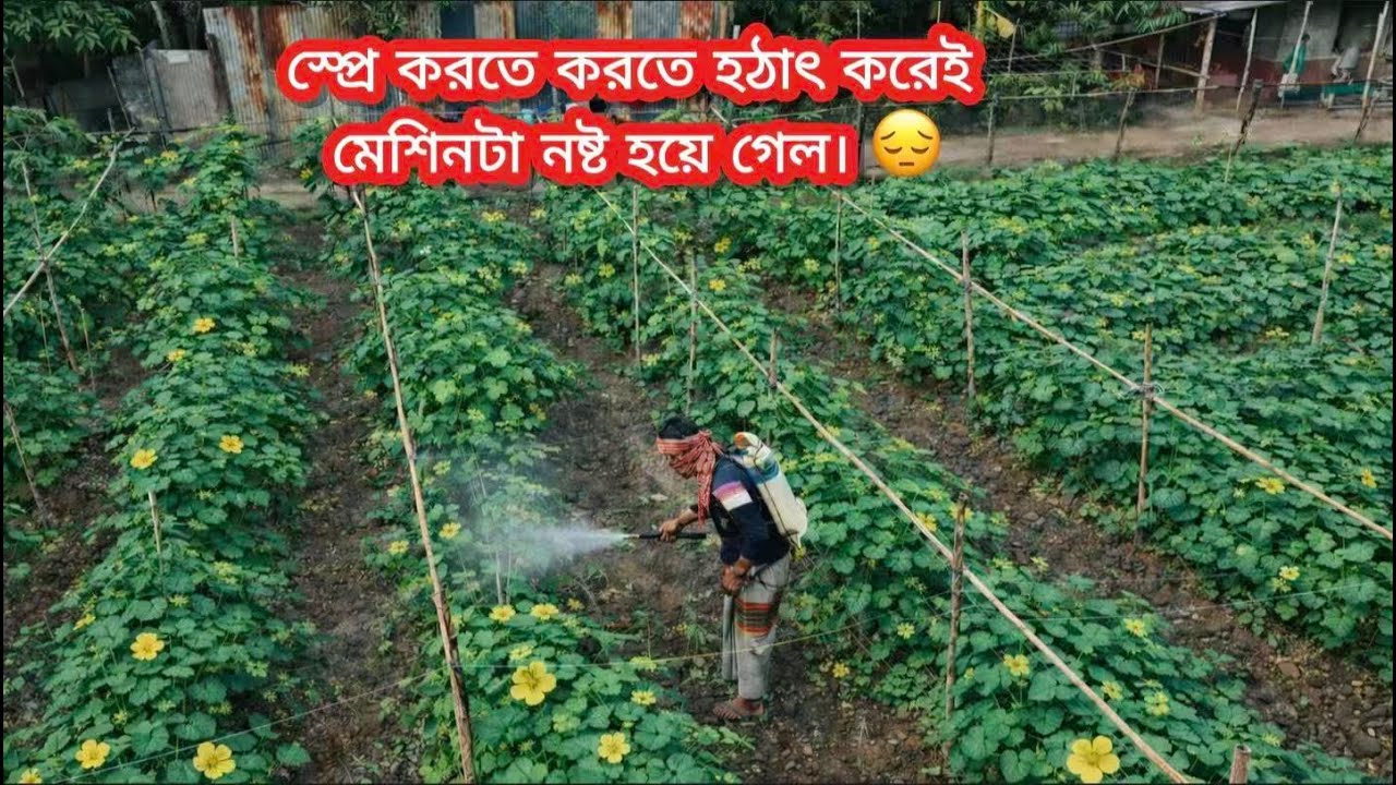 পানি দিতে দিতে, স্প্রে করতে করতেই কেটে গেল আজকের পুরো দিন 💚