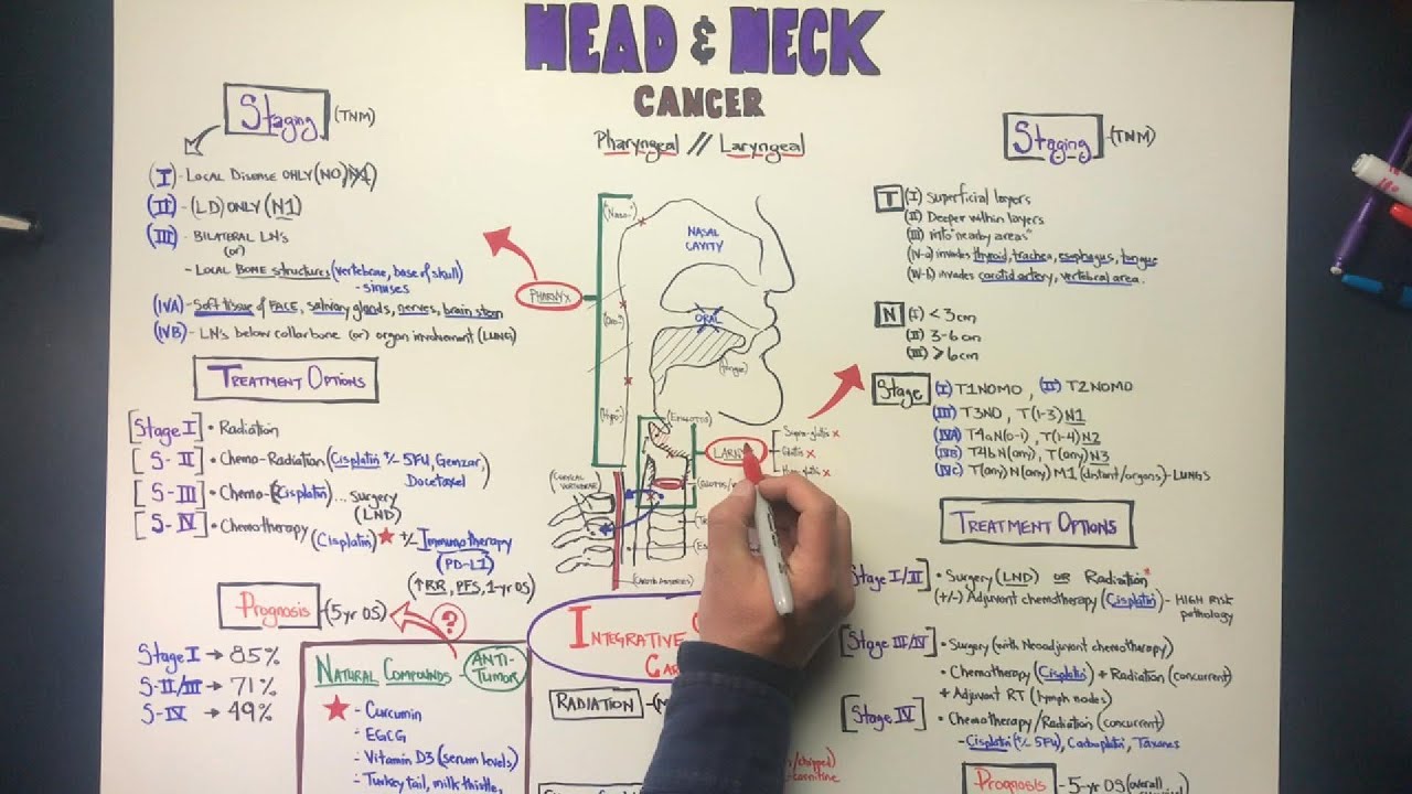 Head & Neck Cancers (Laryngeal & Pharyngeal Carcinomas) - a Tutorial by Oster Oncology
