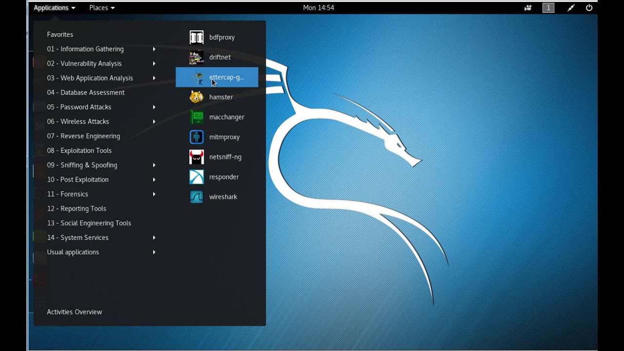 DNS Security Virtual Summit Attacks #2 - DNS Hijacking LAN