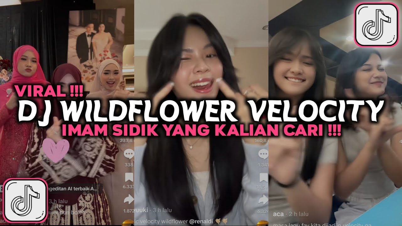 DJ WILDFLOWER VELOCITY IMAM SIDIK VIRAL TIKTOK 2025