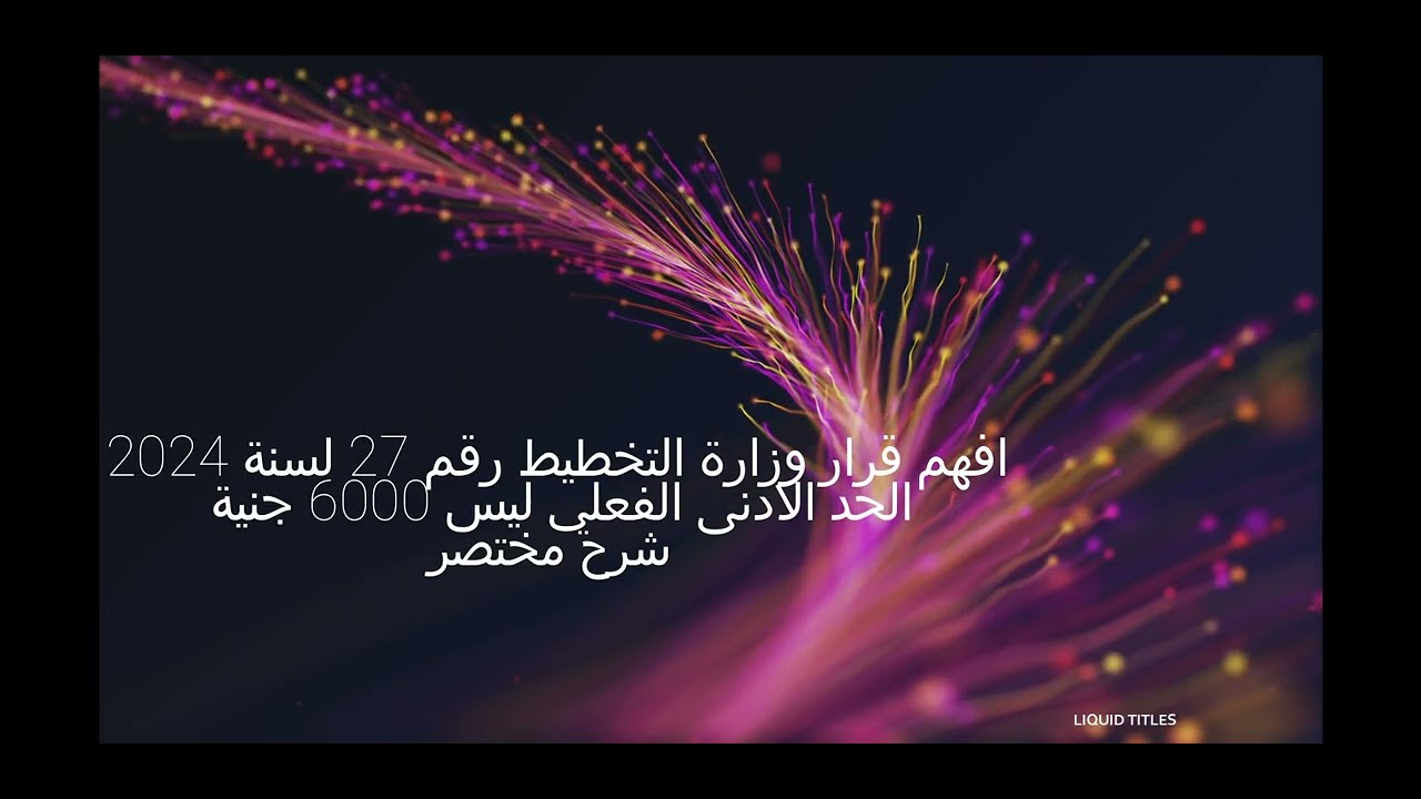 افهم قرار وزارة التخطيط رقم 27 لسنة 2024 الحد الادنى ليس 6000 جنية