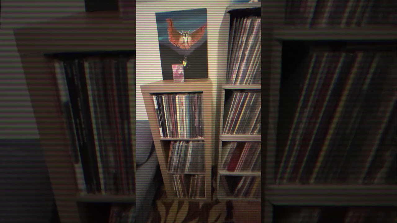 Vinyl Collection 