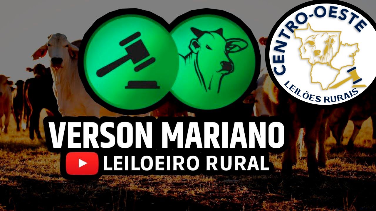 CENTRO-OESTE LEILÕES RURAIS- JARAGUÁ - GO - ARREMATE